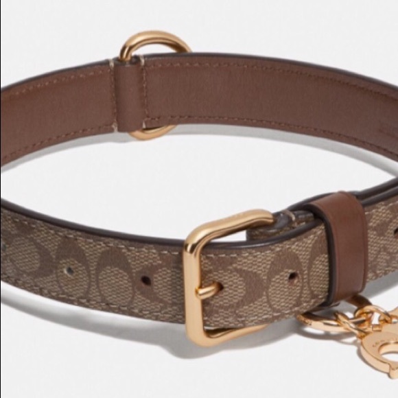 New Coach Small Signature Leather Dog Collar - Picture 2 of 6